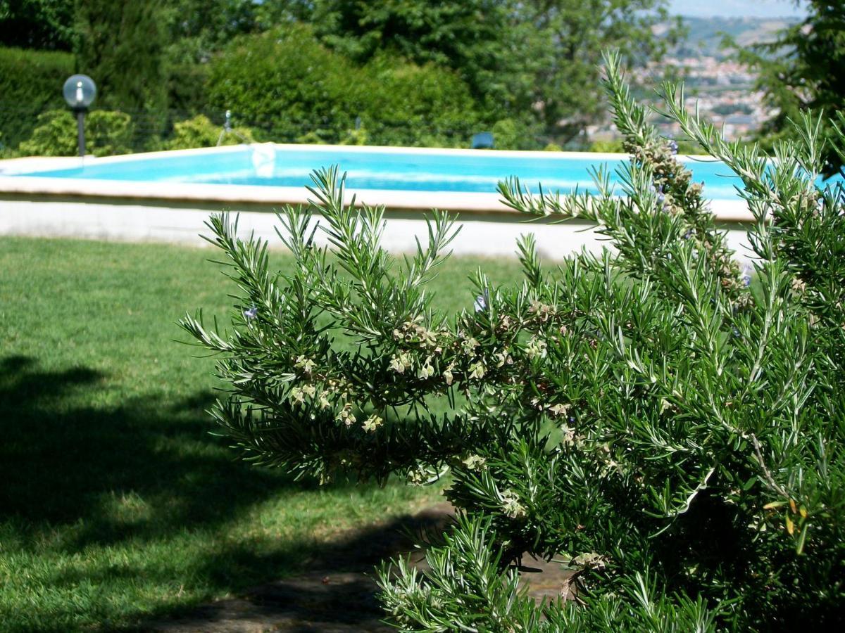 B&B Luna Blu Montesilvano Marina 외부 사진