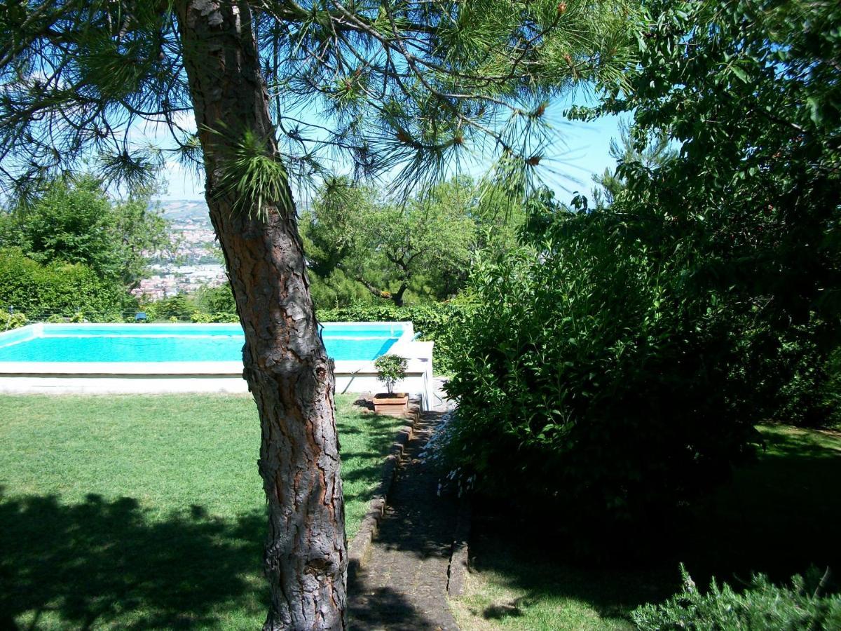 B&B Luna Blu Montesilvano Marina 외부 사진